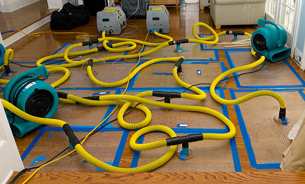 Professional Crawl Space Water Removal technician working in Kintnersville, PA